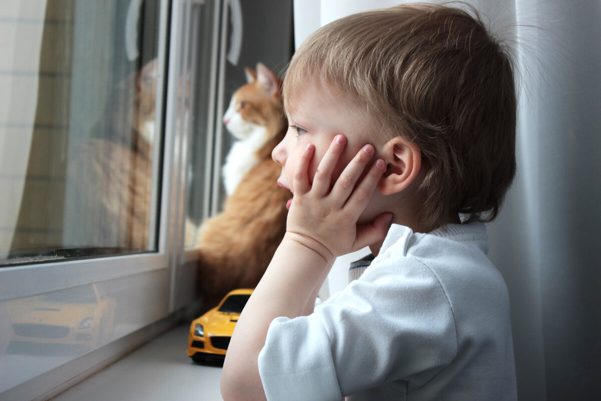 Ребенок и кот смотрят в окно - Наталья Преснякова