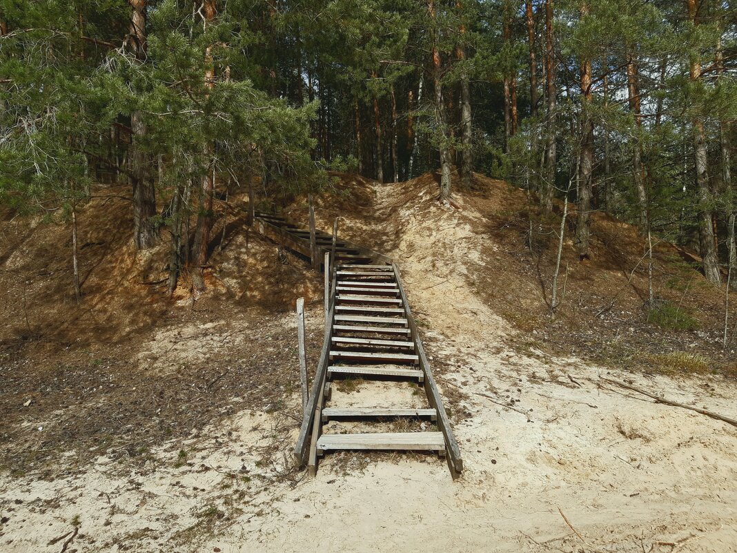 Старая лестница - Екатерина К.