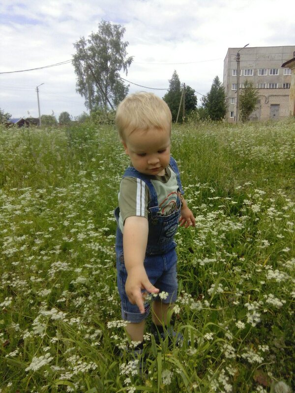 Младший внук познаёт мир природы - Елена Вишневская