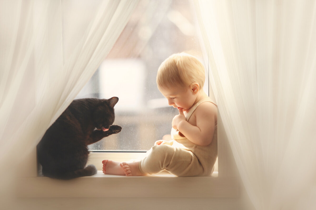 Ребенок и кот - Екатерина Прилуцкая