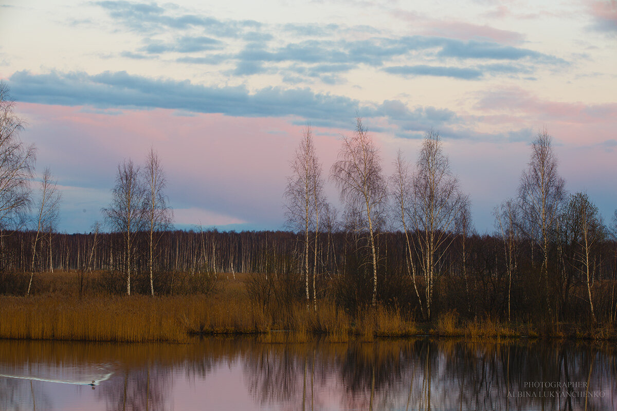 Озеро - Albina Lukyanchenko