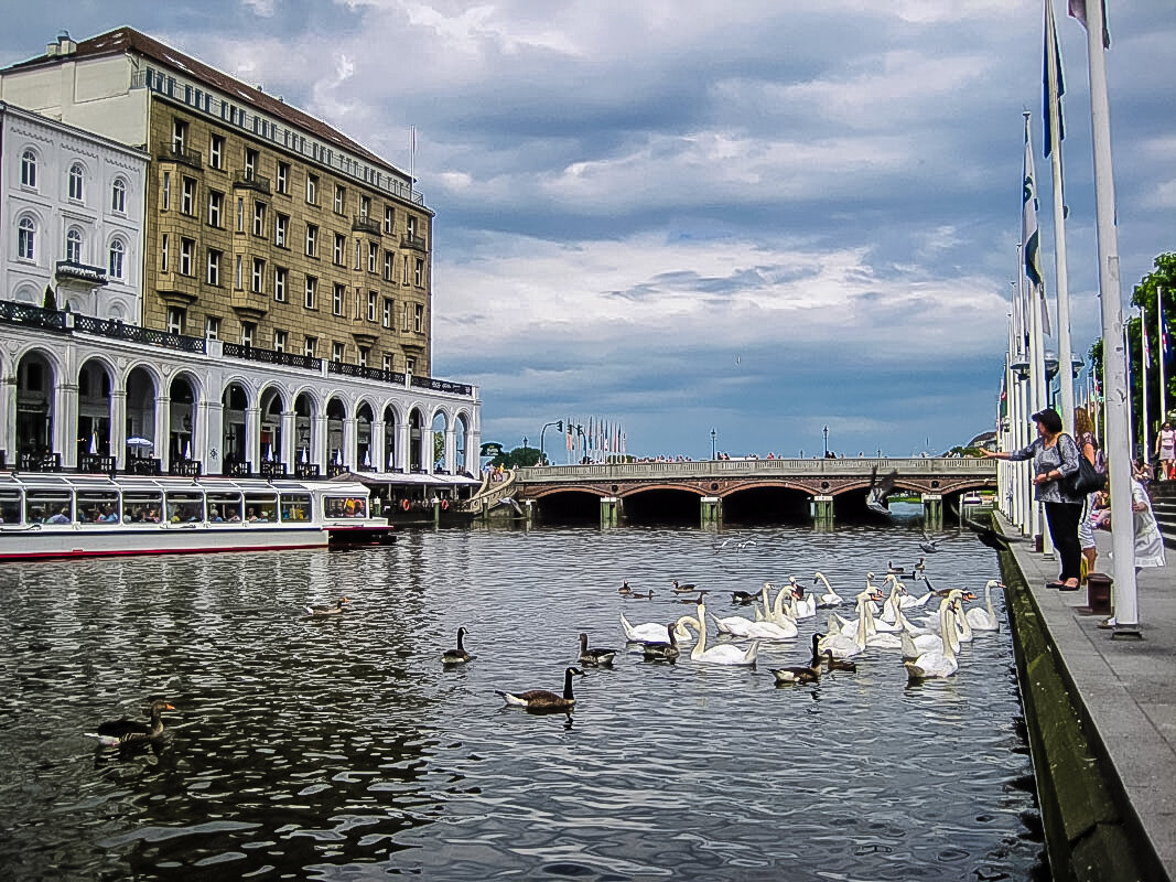 Гамбург. Binnenalster. - Надежда 