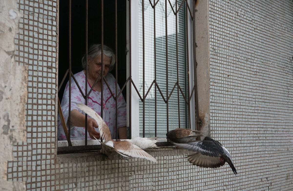 Женщина в окне, кормящая голубей. - Валентина Налетова