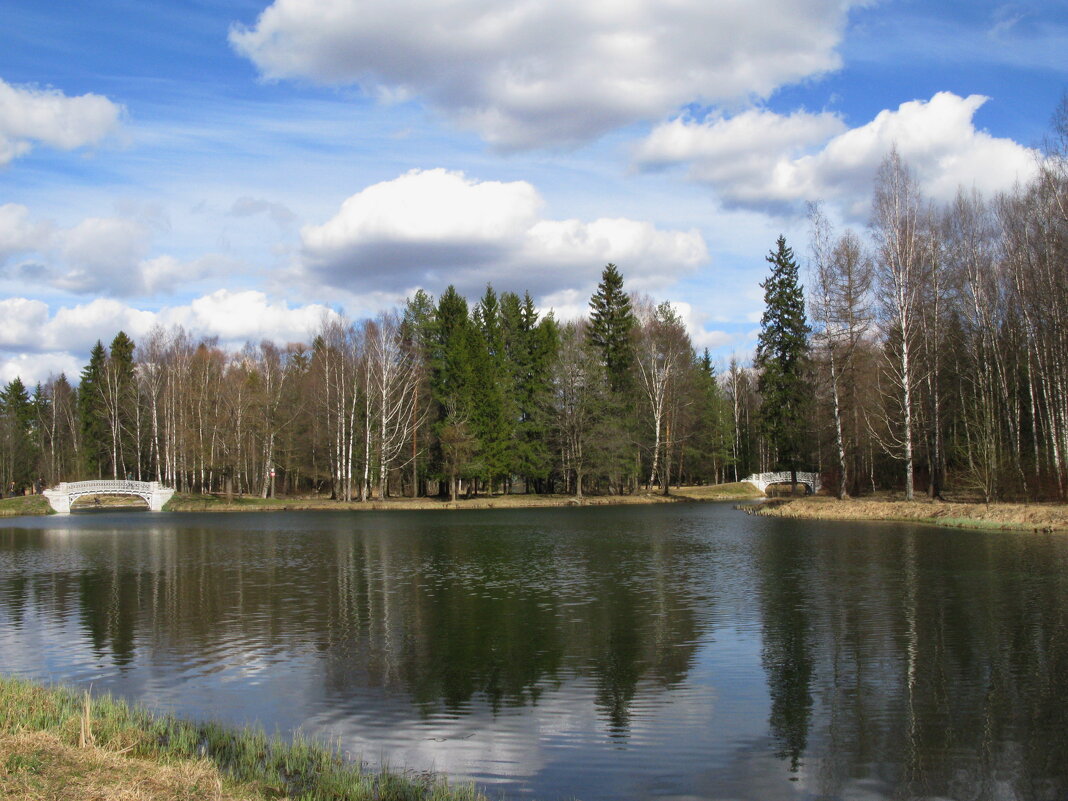 В весеннем парке. - ТАТЬЯНА (tatik)