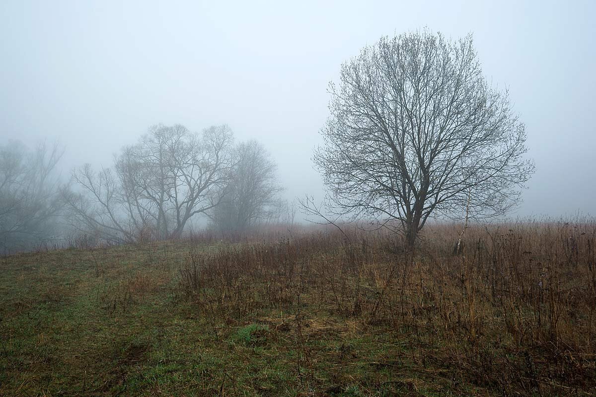 Туманное утро в долине Протвы - Сергей Курников