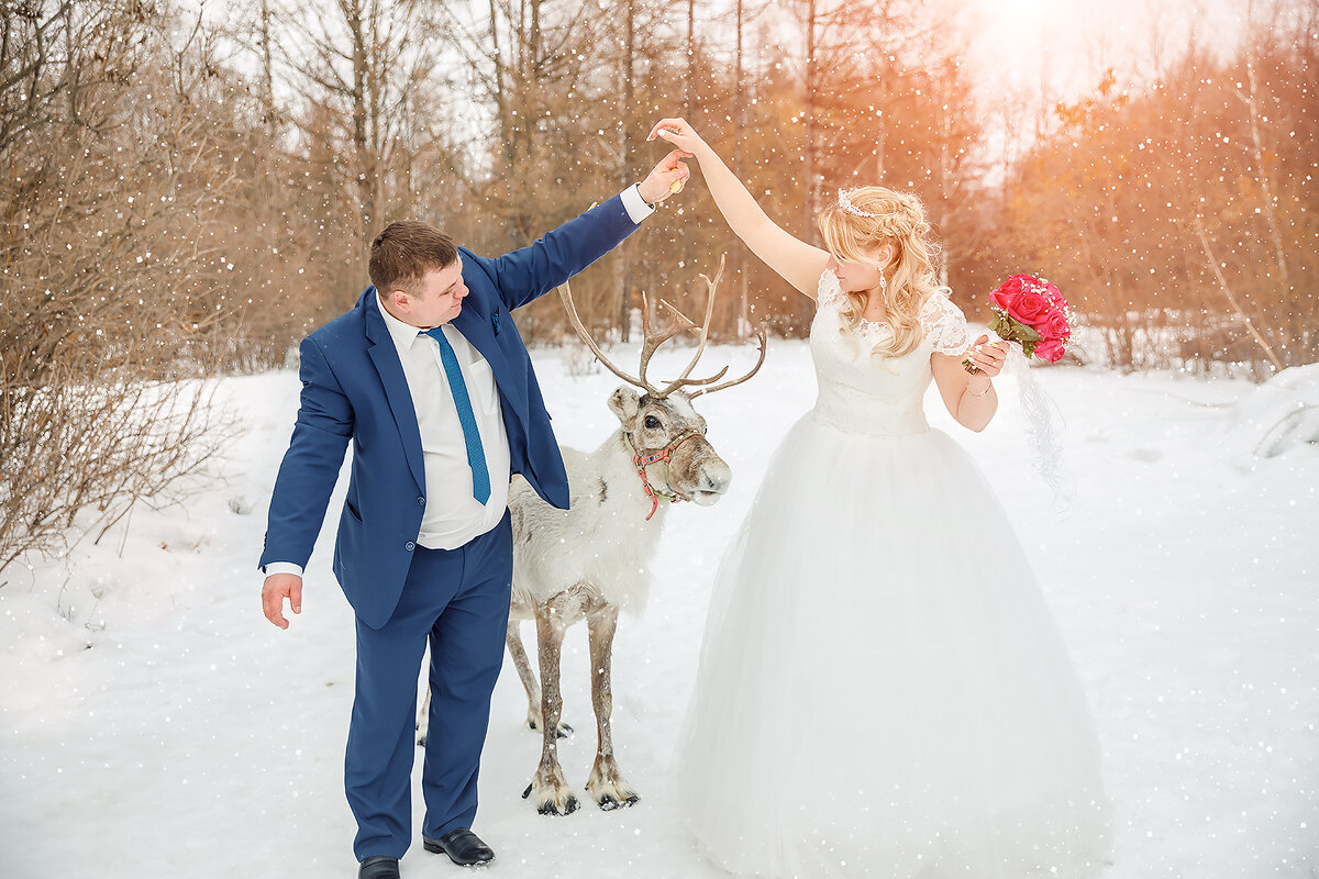 Свадьба с северным оленем - Галина Шляховая