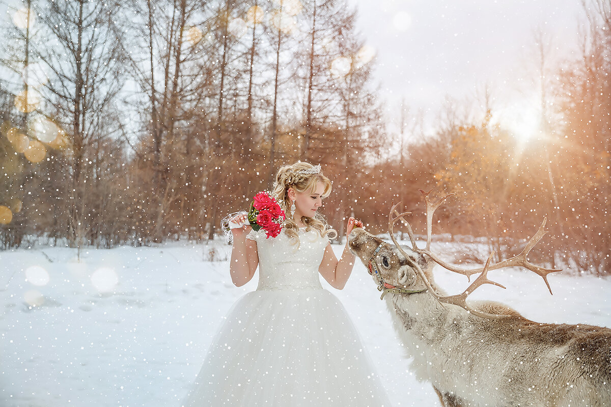 Невеста с северным оленем - Галина Шляховая