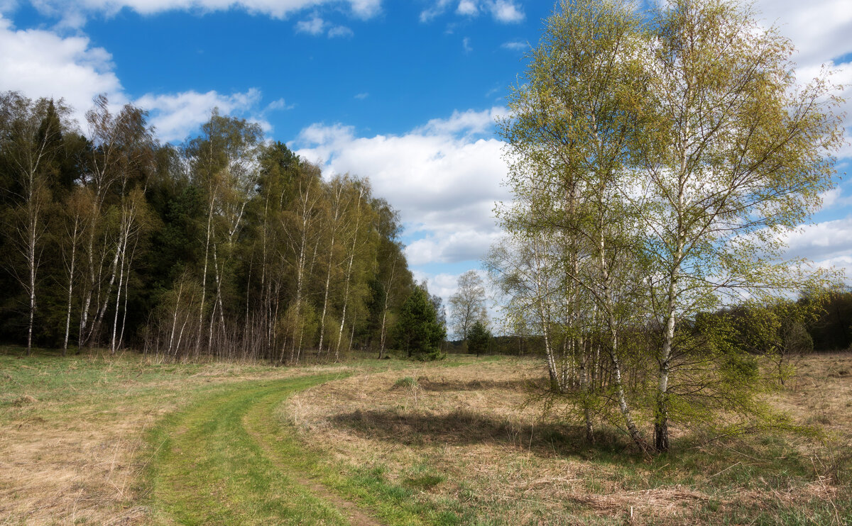 *** - Владимир Безбородов