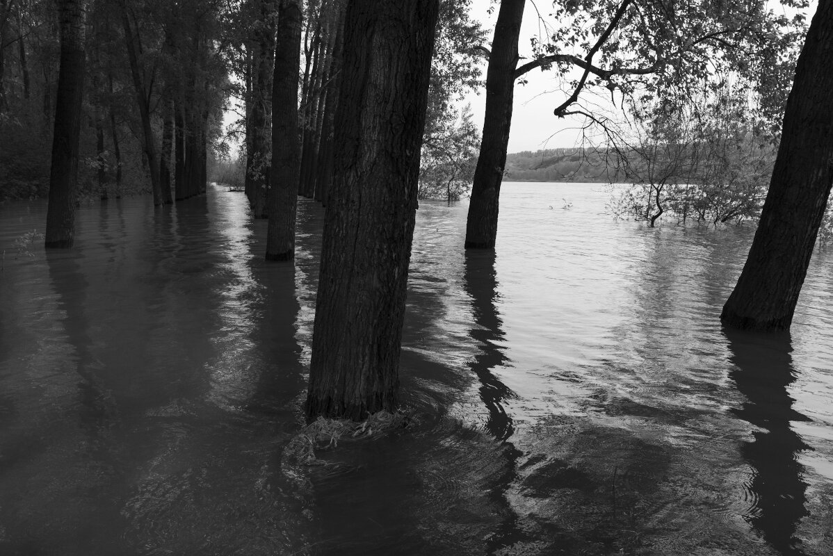 Большая вода - Валерий Михмель 