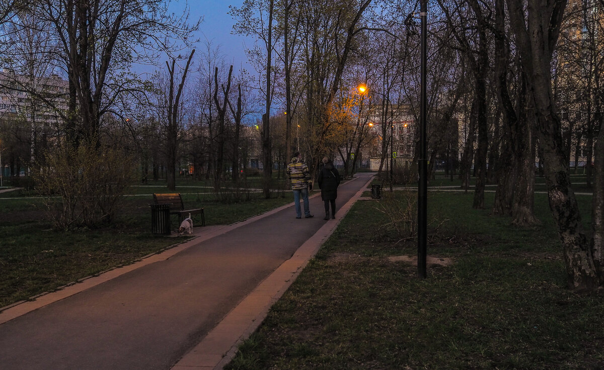В Вечернем Парке - юрий поляков