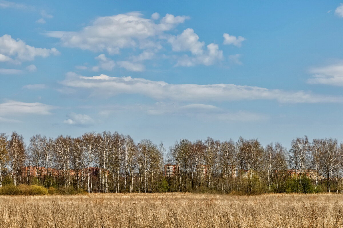 За городом. - Анатолий. Chesnavik.