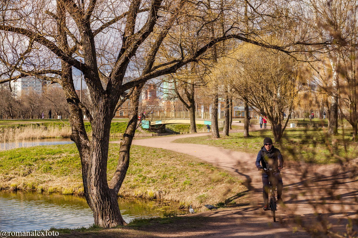 Парк Александрино (Санкт-Петербург) - Роман Алексеев