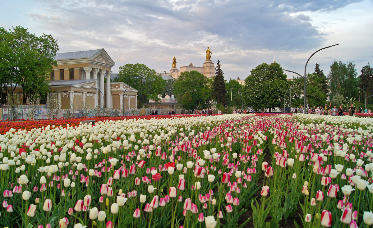 Московская весна - Елена Кирьянова