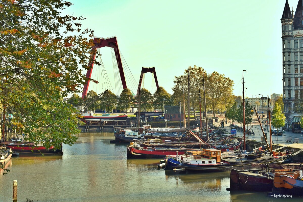 Роттердам. Старая гавань - Татьяна Ларионова