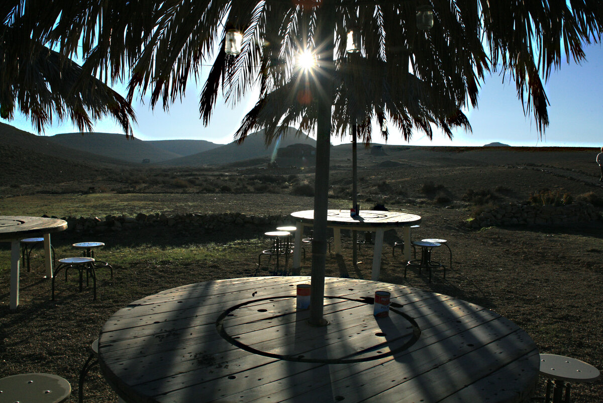 Кафе в пустыне Негев ждёт своих гостей - сашка ярмарков
