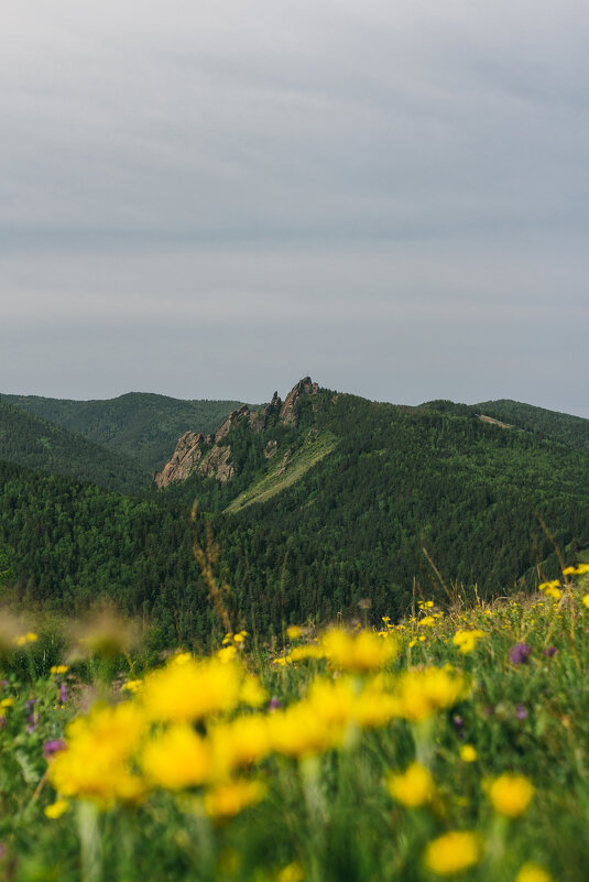 National park Stolby, Russia, Siberia, Krasnoyarsk. - Igor Novikov