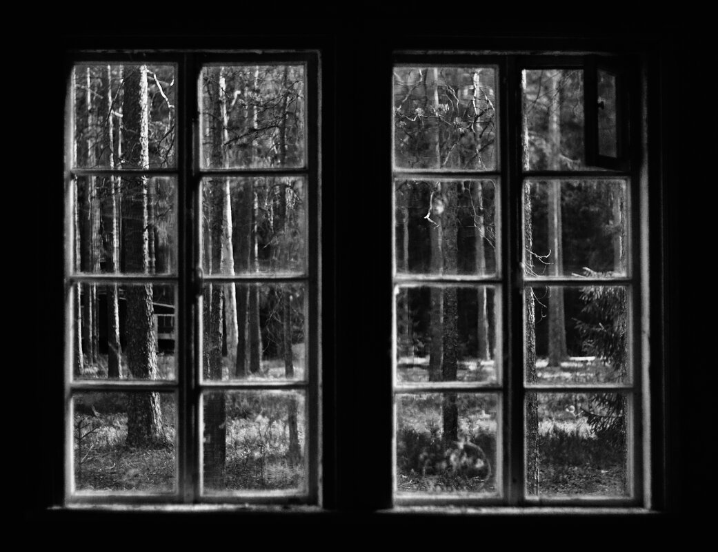 Окно в лес - Юлия Никитина