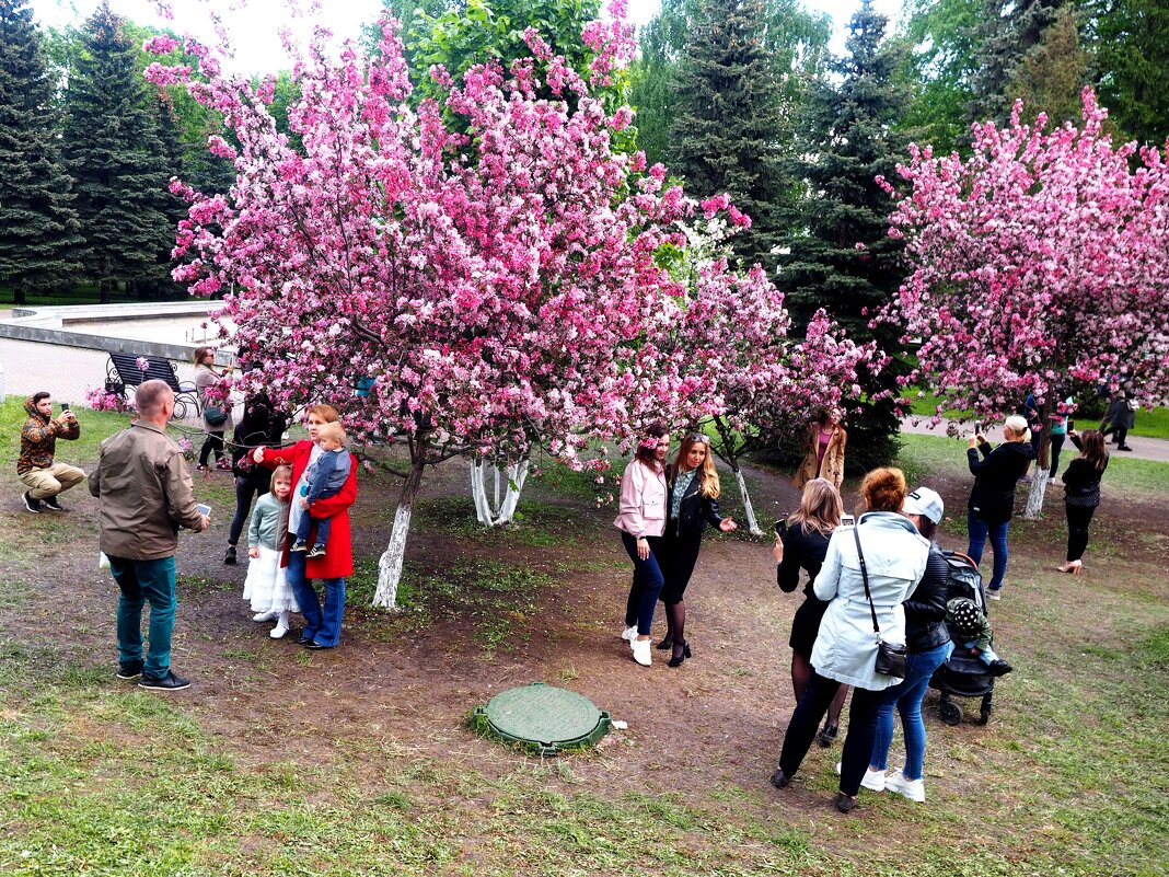 Фотография на память. - Ильсияр Шакирова