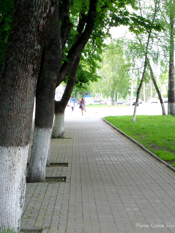 Зеленые улицы Курска. Улица К.Маркса - MarinaKiseleva 