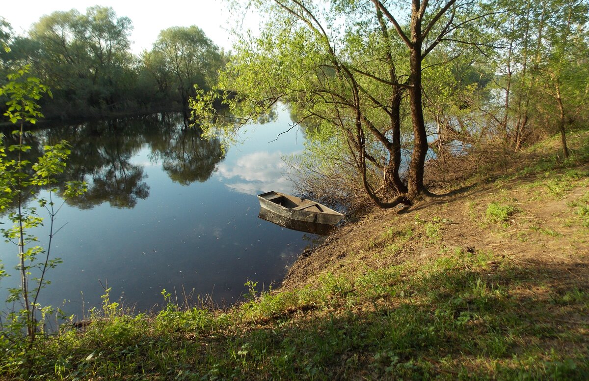 На реке - Galina Solovova