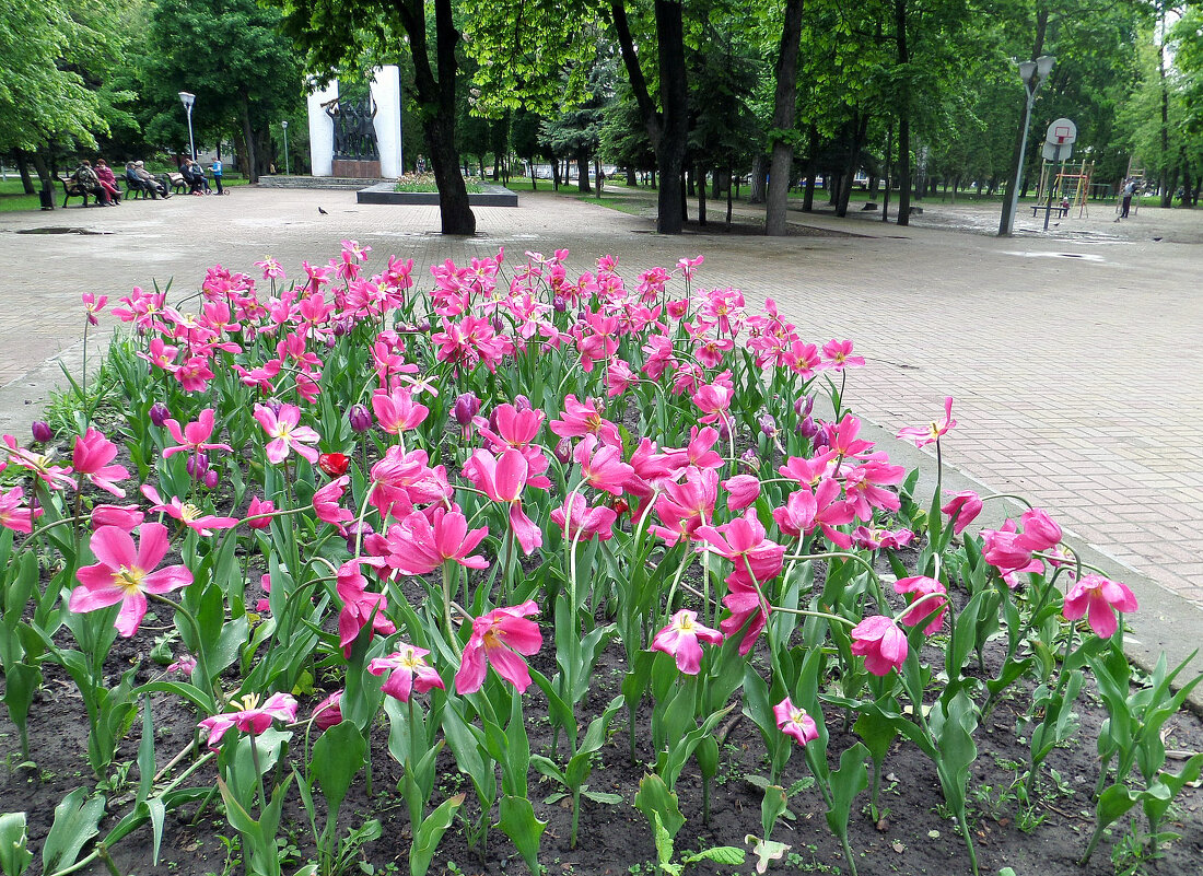 В парке Героев Гражданской Войны - MarinaKiseleva 