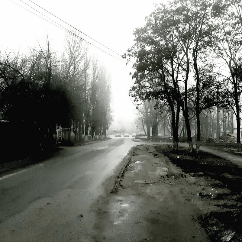Туман - Николай Филоненко 