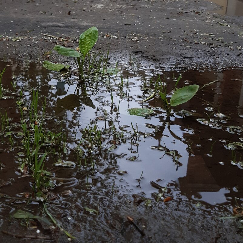 На воде - Николай Филоненко 