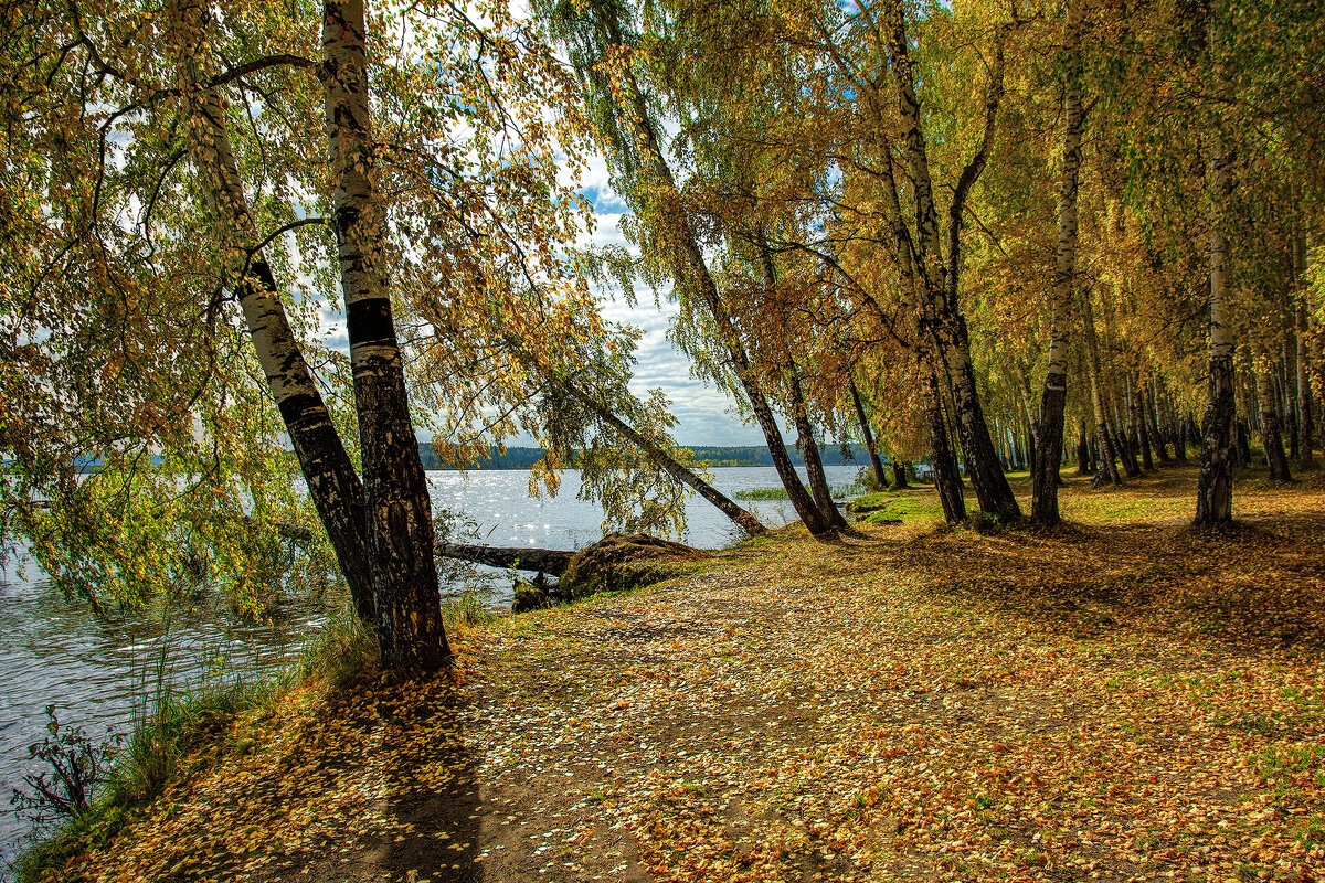 новосибирск осенью фото