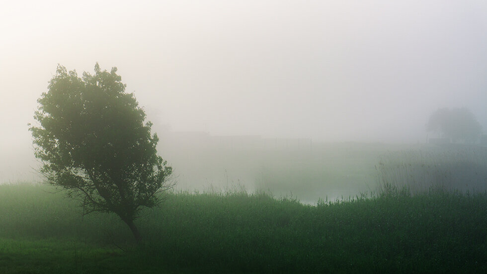 Туманное утро - Виталий Павлов