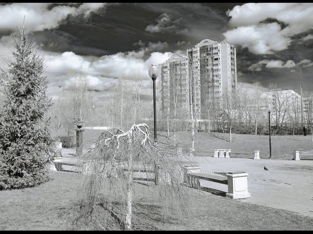 небо и парк - emelka2 