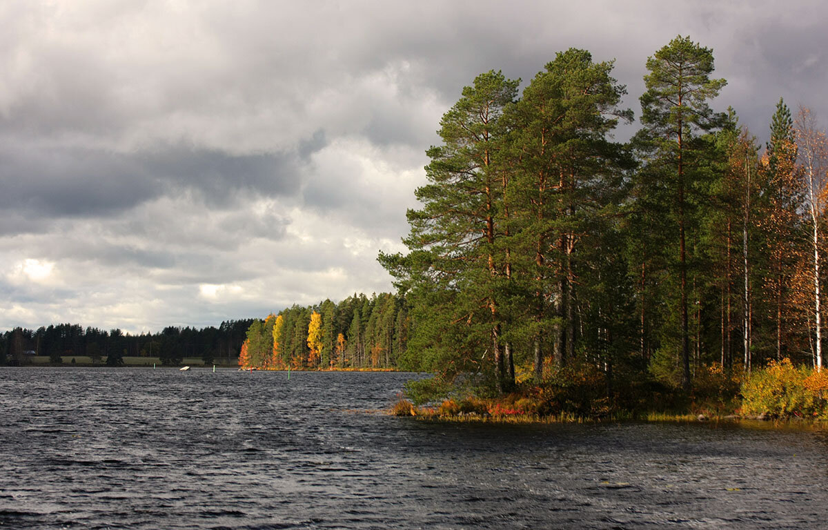 Осень на озере - Ольга Саранцева