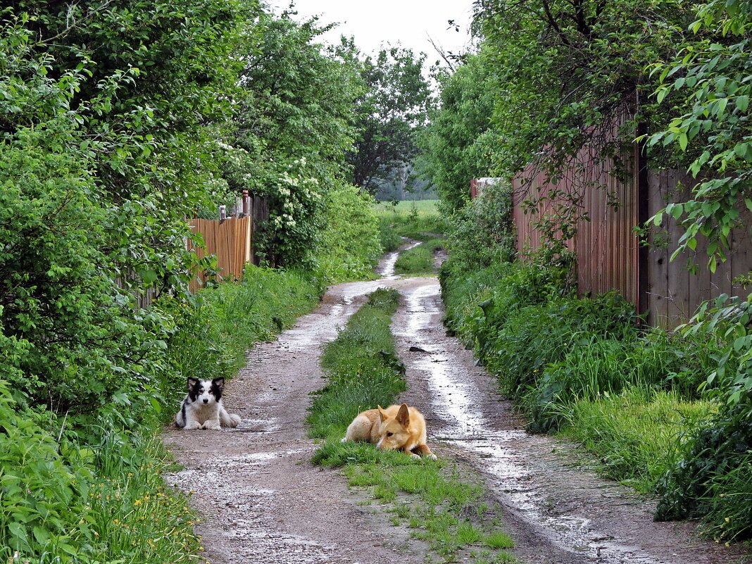 Дневной дозор - Евгений Кочуров