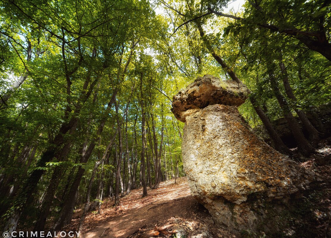 В Ивановой балке, неподалёку от села Дружное находится каменный гриб... На самом деле, он не одинок. - Сергей Леонтьев
