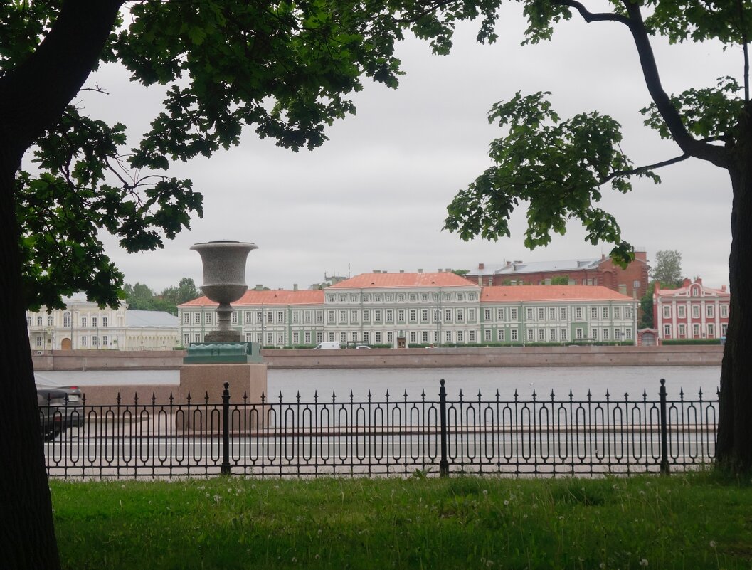 графика Петербурга - Елена 