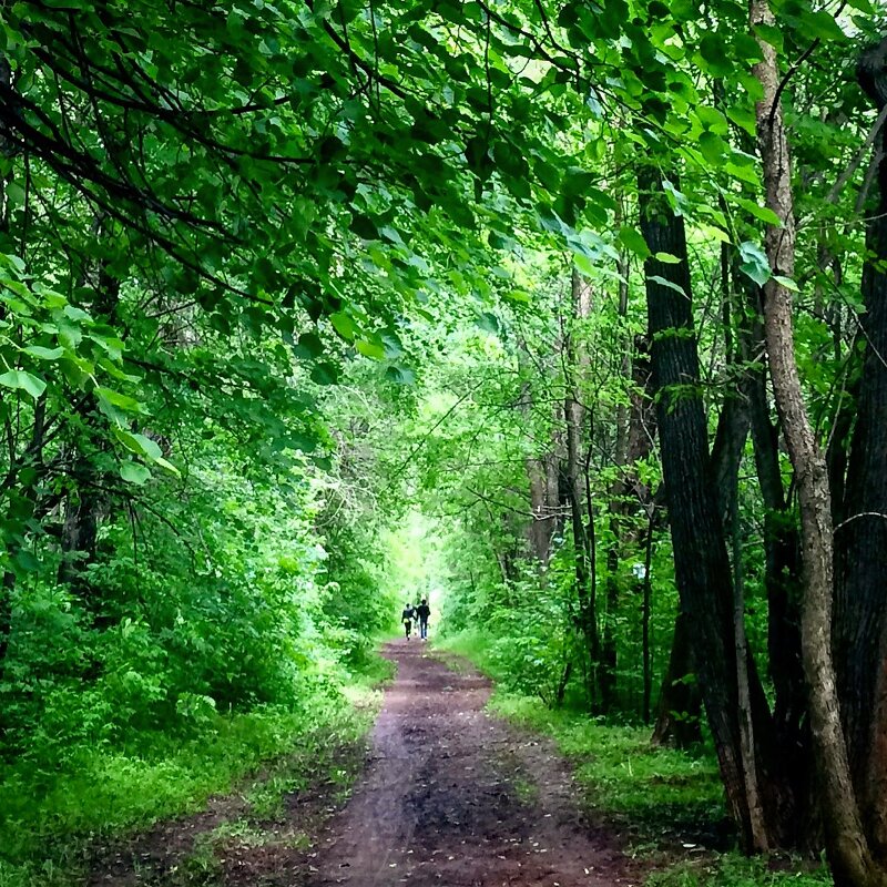 Зелёный коридор - Татьяна 