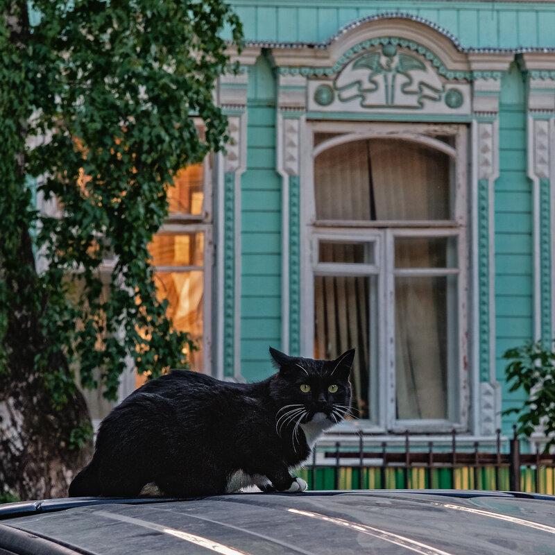 У старого особняка - Сергей Шатохин 