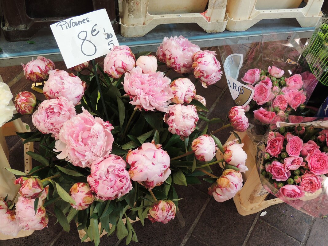 Я пошел на цветочный рынок и купил цветов для тебя... - Гала 