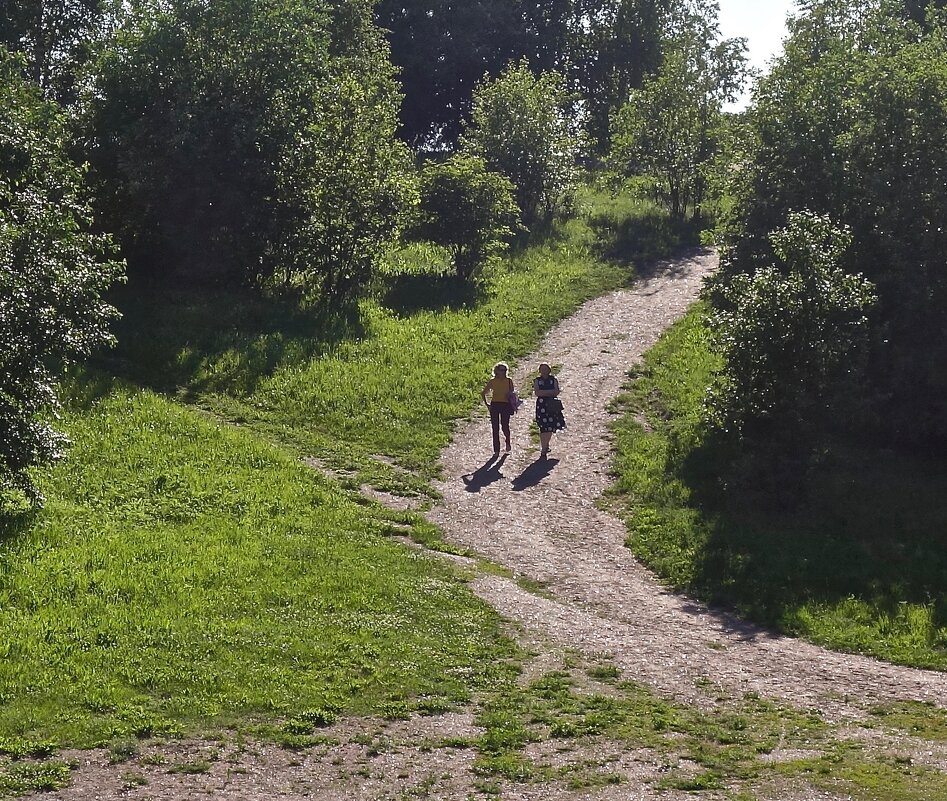 дорога к Певческому полю в Выборге - Елена 