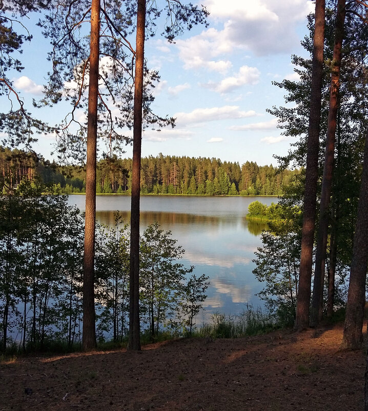 Вечер на озере - Ирина Румянцева