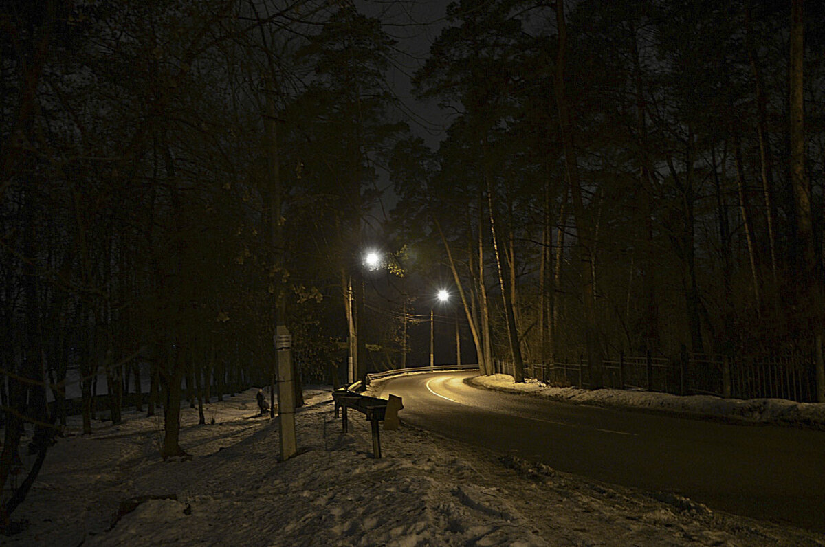 Зимний вечер в подмосковье - Oleg4618 Шутченко