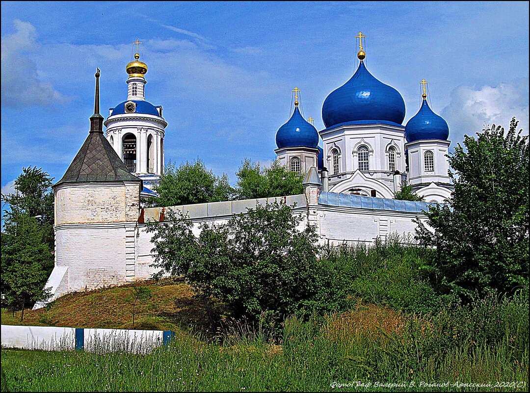 ВЛАДИМИР ПРОВИНЦИАЛЬНЫЙ_2020 - Валерий Викторович РОГАНОВ-АРЫССКИЙ