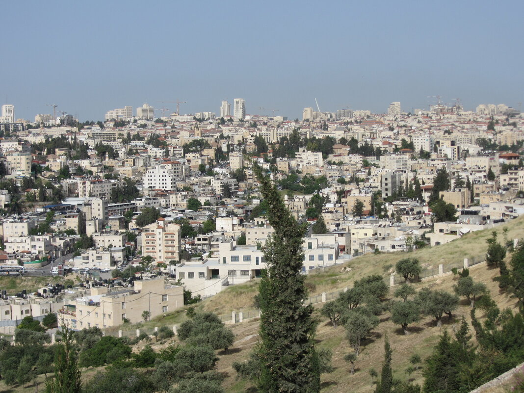 Иерусалим с обзорной площадки - Герович Лилия 