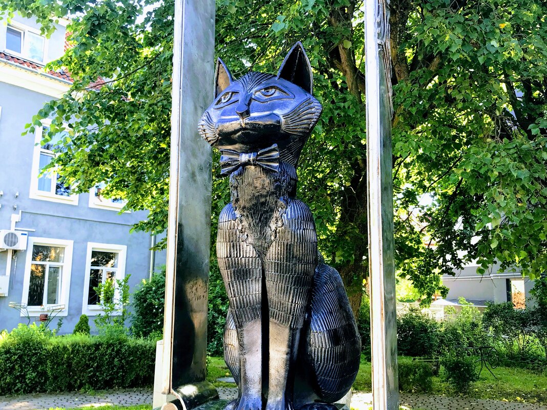 Памятник Зеленоградским котам. - Валерия Комова