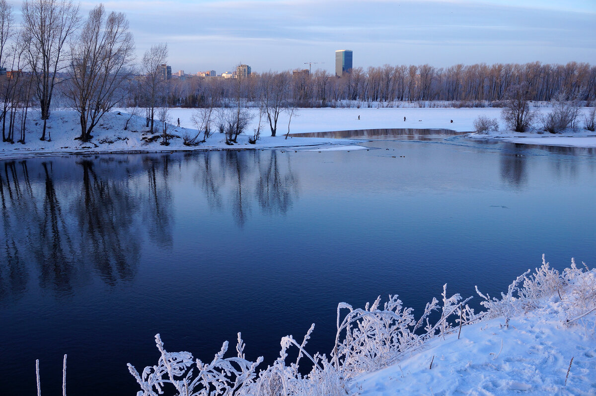 Зима любит глубокий синий в обрамлении белого - Екатерина Торганская