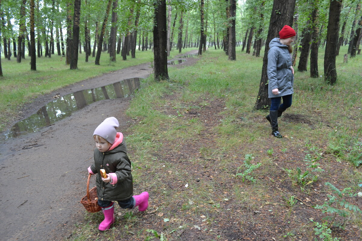 Тихая охота...После дождичка грибы,пойдут... - Георгиевич 