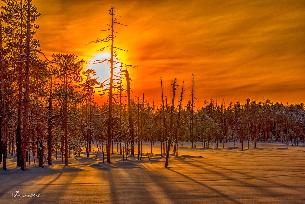 Закат солнца в зимний день - Дмитрий Иванов