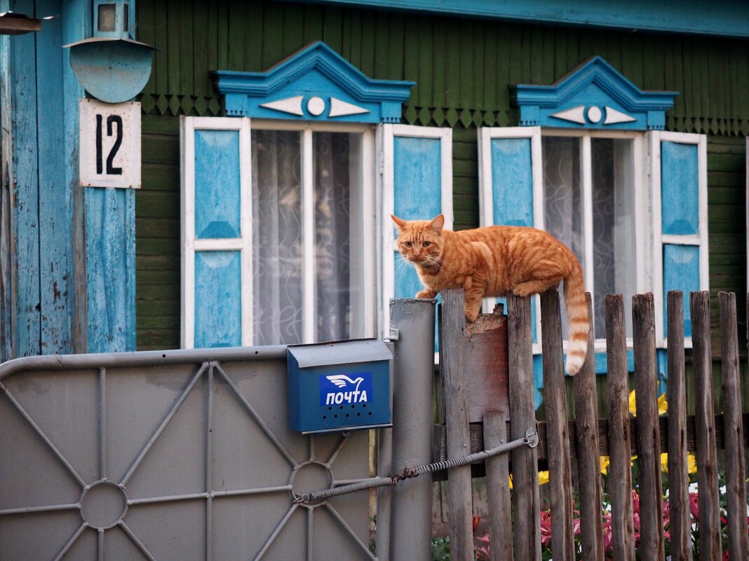 День фотографа. - Ильсияр Шакирова