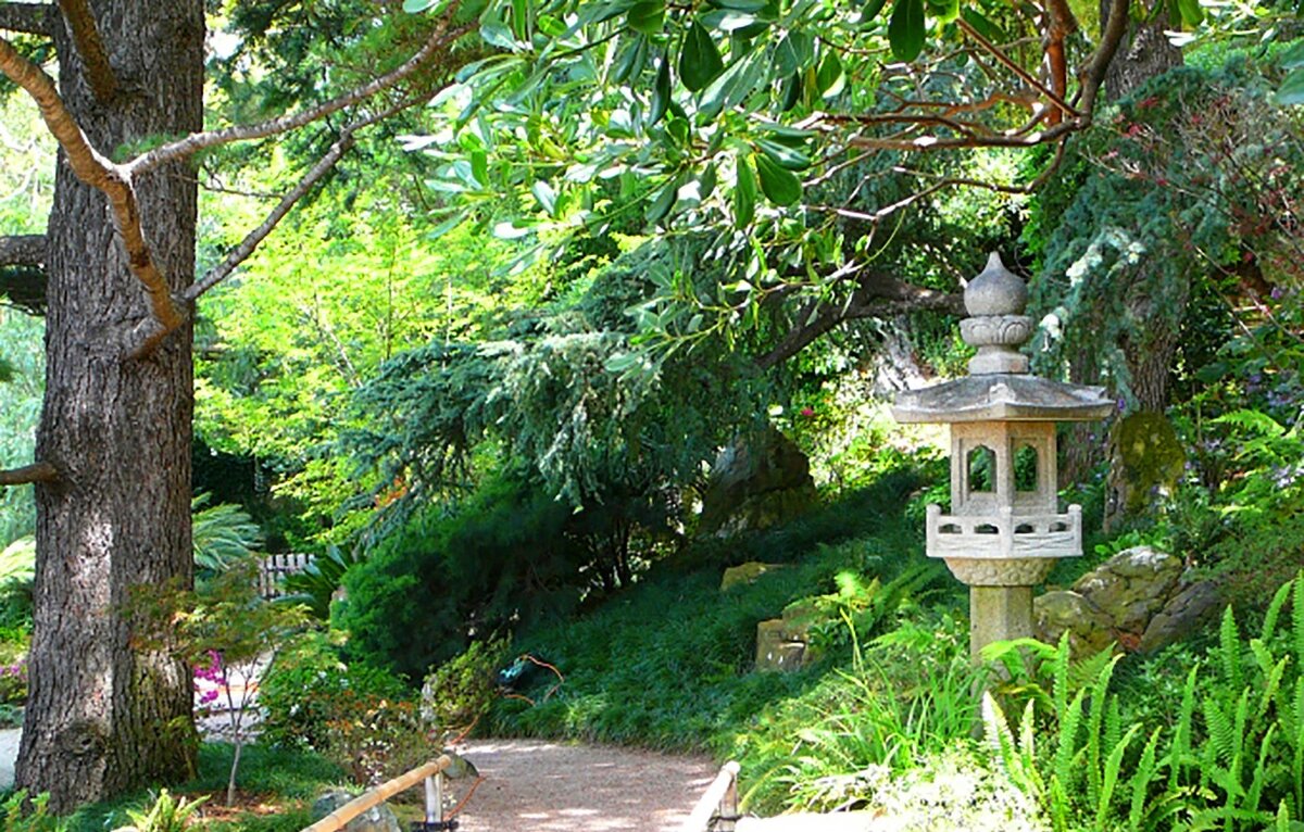 Японский сад - Гала 
