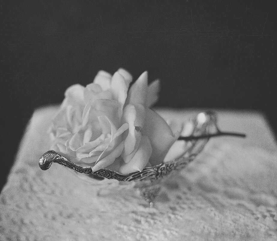 Лежала роза на столе... - Liliya 