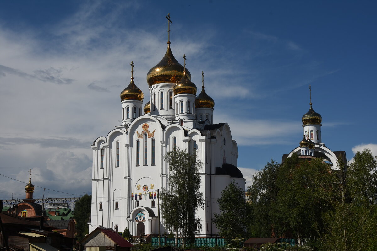 Свято-Стефанский кафедральный собор - vg154 